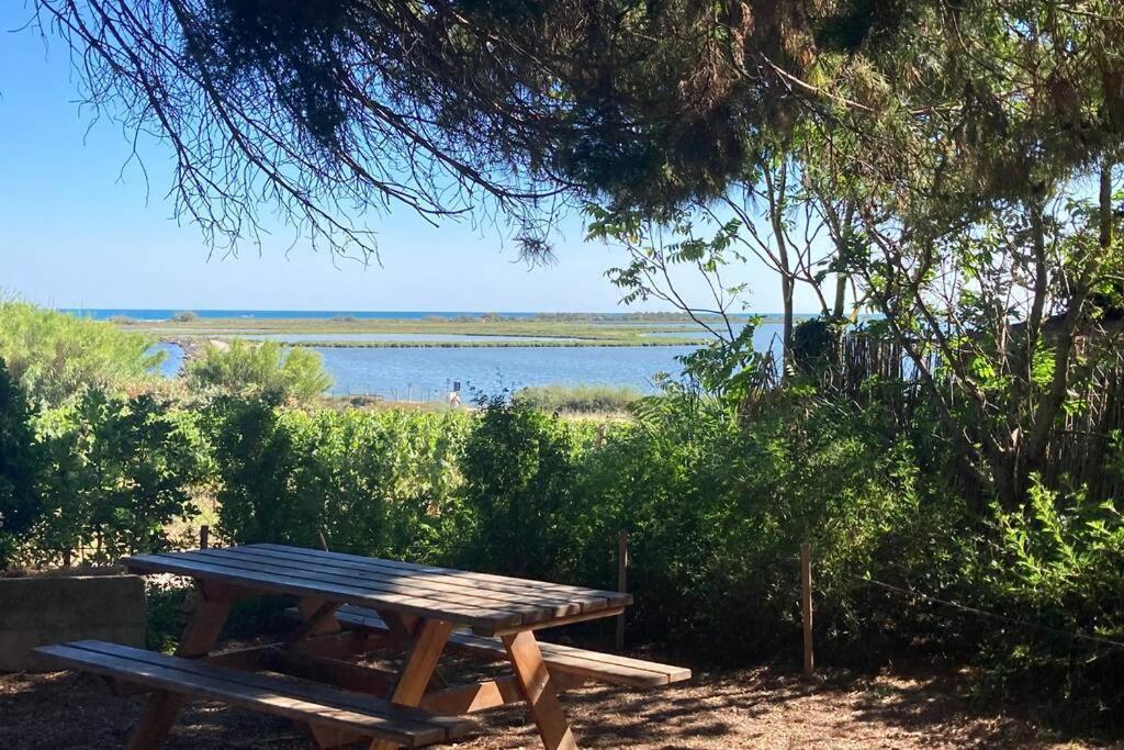 Magnifique Villa Avec Piscine Villeneuve-lès-Maguelonne Kültér fotó