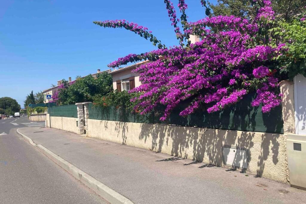 Magnifique Villa Avec Piscine Villeneuve-lès-Maguelonne Kültér fotó